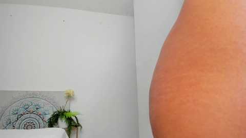 effie_castro0