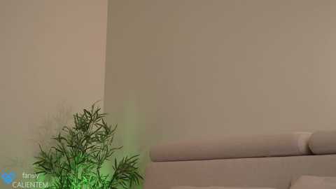 ms_seductive @ chaturbate on 20241102