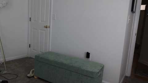 ari_lovexo @ chaturbate on 20241104
