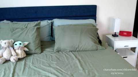 chloewildd @ chaturbate on 20241105