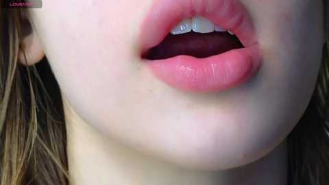 your_stop