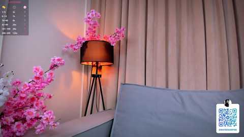 maybe_marry_me @ chaturbate on 20241107