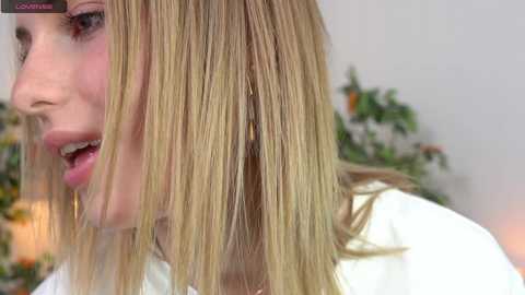 refined_style @ chaturbate on 20241107