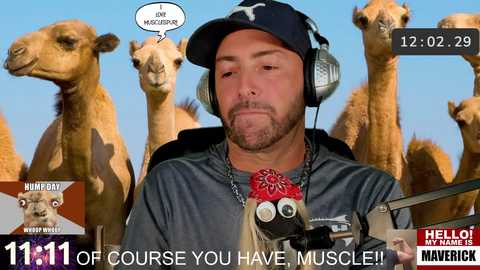 socialmaverick @ chaturbate on 20241107