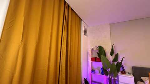 vixenp @ chaturbate on 20241108