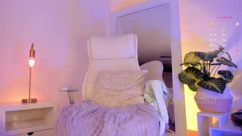 missthailand_ @ chaturbate on 20241109