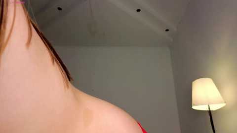 aryamirelle @ chaturbate on 20241111