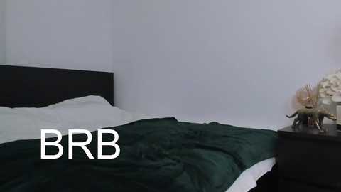 chloe_bianca18 @ chaturbate on 20241111