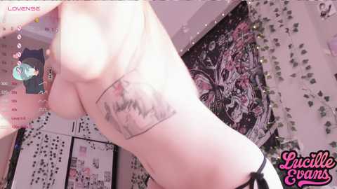 lucille_evans @ chaturbate on 20241111