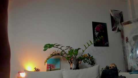 noha_miler @ chaturbate on 20241111