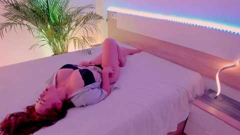 butterflyblue_dream @ chaturbate on 20241112