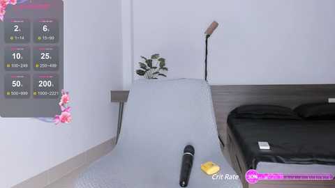 sana_minatozaki @ chaturbate on 20241114