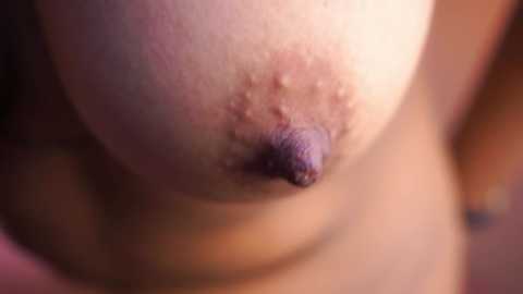 pauline_7 @ chaturbate on 20241120