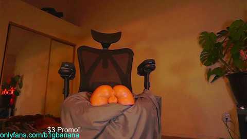 b1gbanana @ chaturbate on 20241126