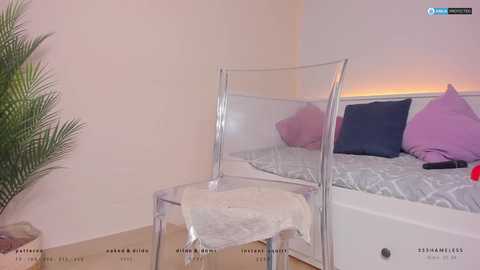 ssshameless @ chaturbate on 20241126
