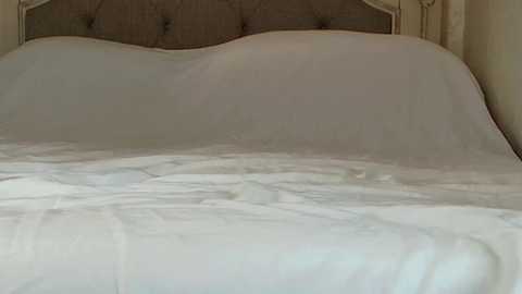 littlegreekflower @ chaturbate on 20241201