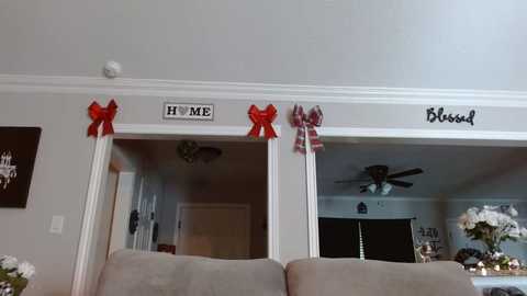 alannarack @ chaturbate on 20241202