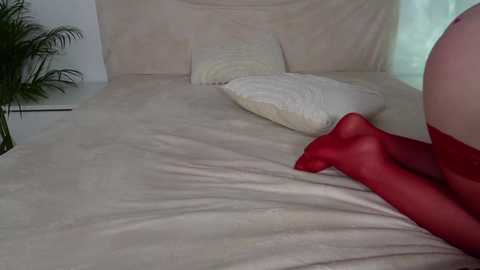 funny_to_see_you_here @ chaturbate on 20241202