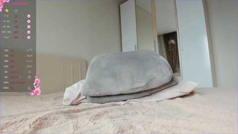 sweety_vikky @ chaturbate on 20241202