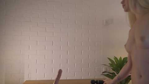 alissa_wxw @ chaturbate on 20241203