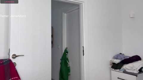 wlademarbergs @ chaturbate on 20241204