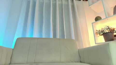 nezo_ @ chaturbate on 20241207