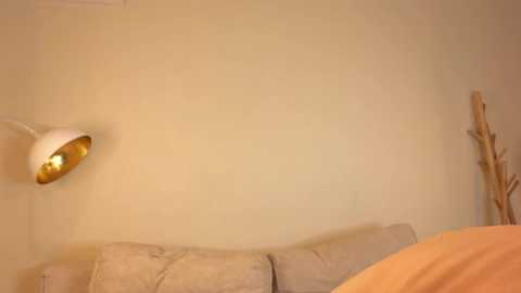 but_not_for_freeeeee @ chaturbate on 20241208