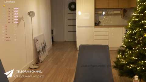 gina_divine @ chaturbate on 20241208