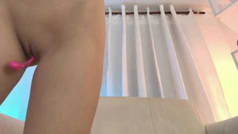 nezo_ @ chaturbate on 20241209
