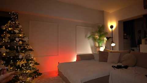 freya_ @ chaturbate on 20241210