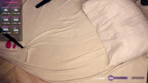 florencewilliam @ chaturbate on 20241214
