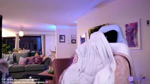 misshowl @ chaturbate on 20241219