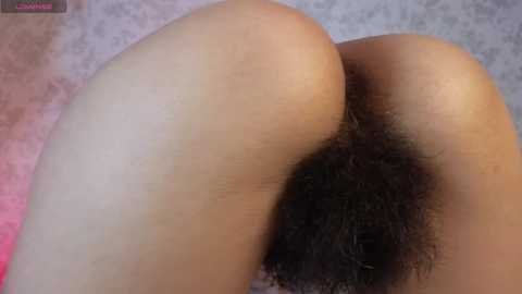 luneva @ chaturbate on 20241226