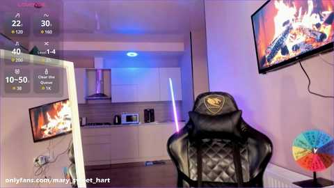 mary_sweet_hart @ chaturbate on 20241231