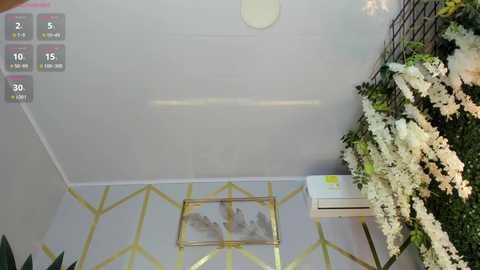 lia_myars @ chaturbate on 20250122