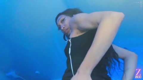 zya_zoo @ chaturbate on 20250131