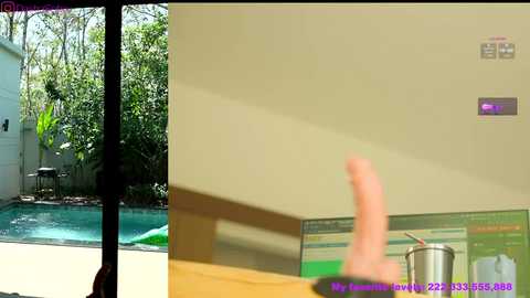_artporno_ @ chaturbate on 20250201