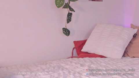 antonia_savatto_