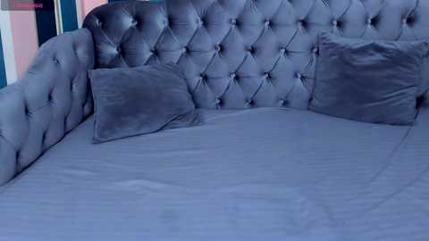 kerry_niki @ chaturbate on 20250202