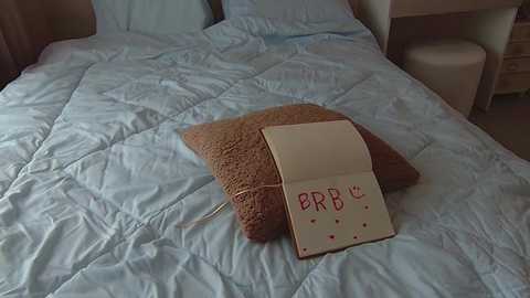 sweetie_natasha @ chaturbate on 20250209