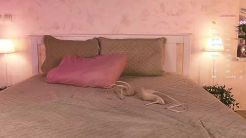 anette_belorie @ chaturbate on 20250210