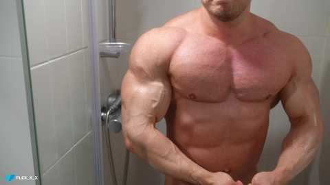 flex_x_x