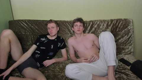 vince__dice