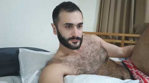 arabhairy90