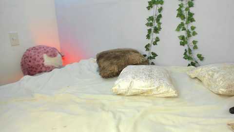 nayah_williams @ chaturbate on 20250307