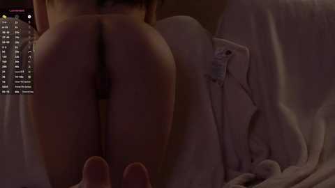 nicole_birds