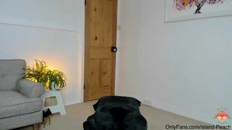 island_peach @ chaturbate on 20250530