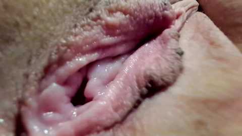courtney_luv @ chaturbate on 20250605