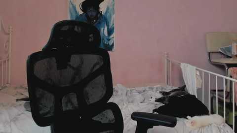 jeff_enigma