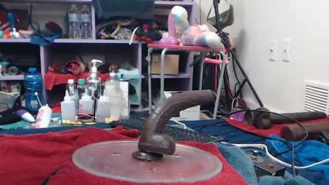 animergamergirl @ chaturbate on 20250614